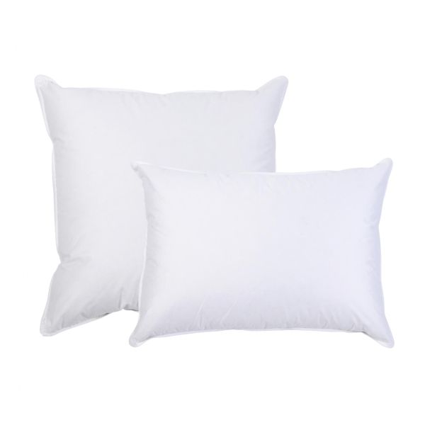 Interieur de coussin Plumes Blanc