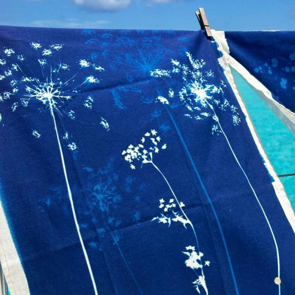 Torchon Fleurs de carotte Bleu 70 x 50