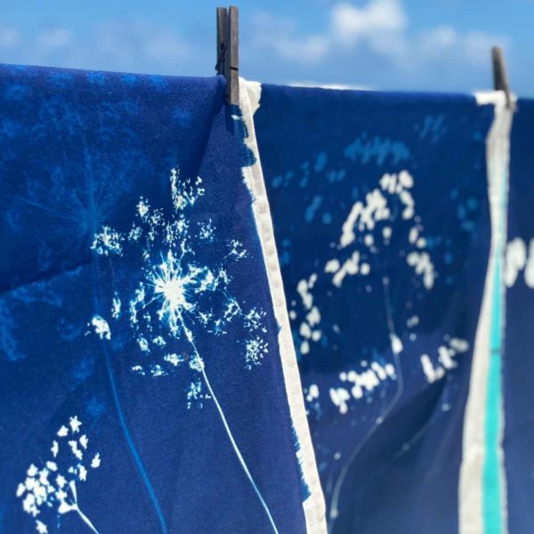 Torchon Fleurs de carotte Bleu 70 x 50