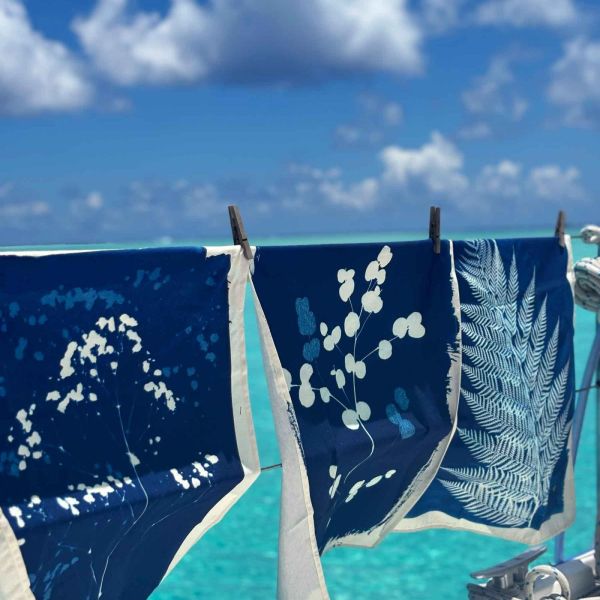 Torchon Fleurs de carotte Bleu 70 x 50