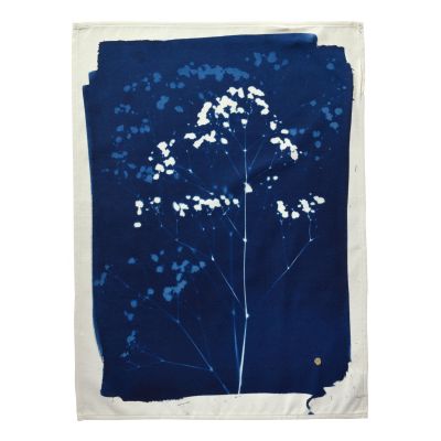 Torchon Gypso Bleu 70 x 50