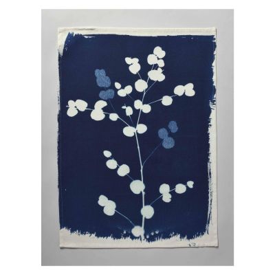 Torchon Eucalyptus Bleu 70 x 50